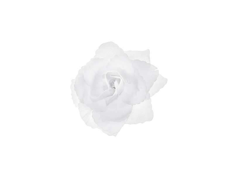 Różyczki do przylepiania, biały, 9cm - 24szt. - obrazek nr. 4